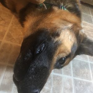 Meet your Posher, Janelle